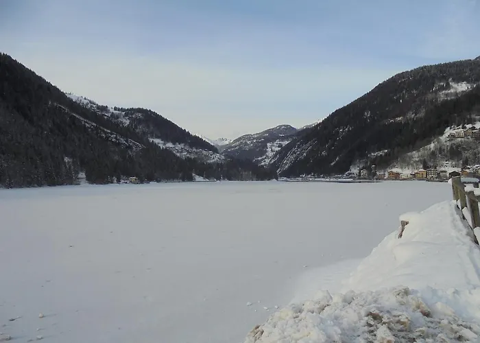 Otel Alle Alpi 3*
