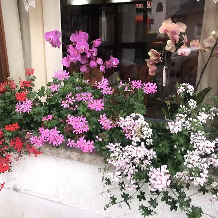 阿雷阿毕酒店